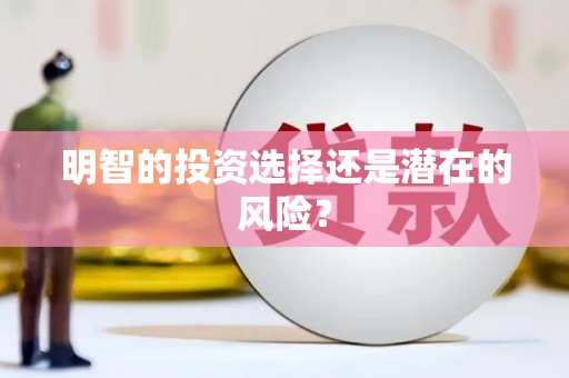 山丹明智的投资选择还是潜在的风险？