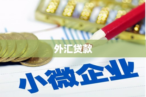 山丹外汇贷款