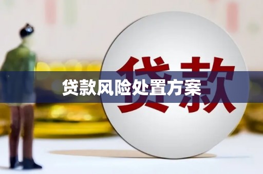 山丹贷款风险处置方案