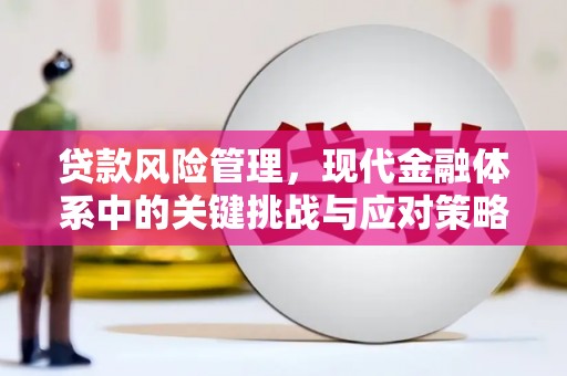 山丹贷款风险管理，现代金融体系中的关键挑战与应对策略