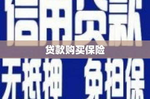 山丹贷款购买保险