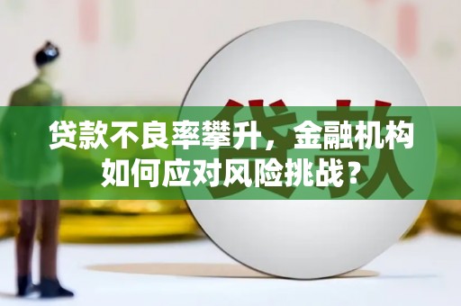 山丹贷款不良率攀升，金融机构如何应对风险挑战？