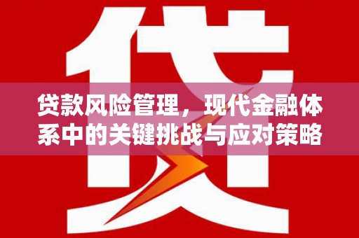 山丹贷款风险管理，现代金融体系中的关键挑战与应对策略