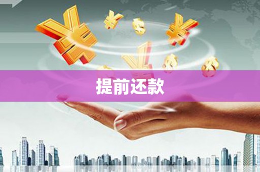 山丹提前还款