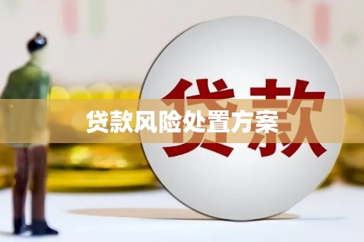 山丹贷款风险处置方案