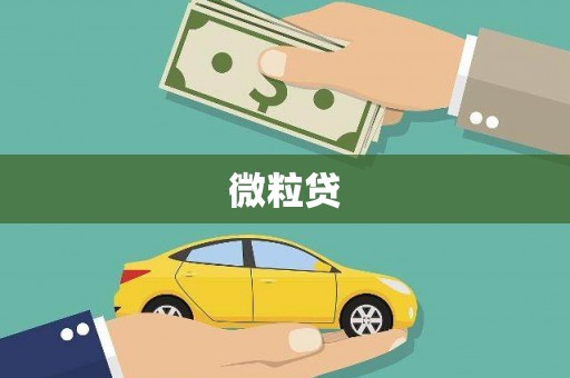 山丹微粒贷