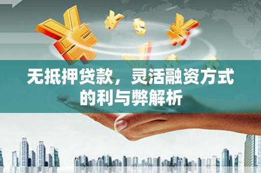 山丹无抵押贷款，灵活融资方式的利与弊解析