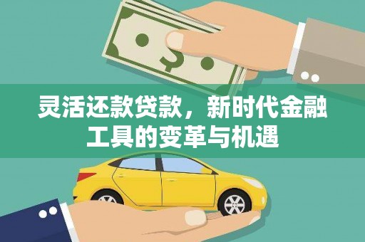 山丹灵活还款贷款，新时代金融工具的变革与机遇