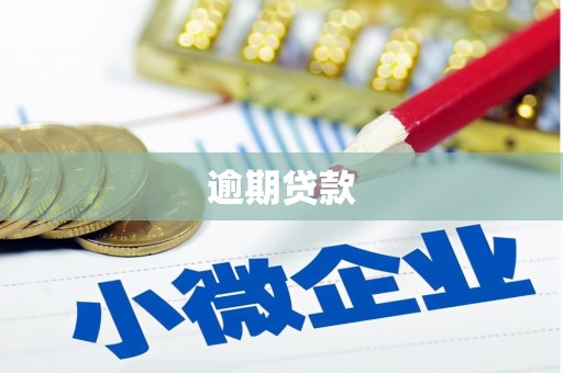 山丹逾期贷款